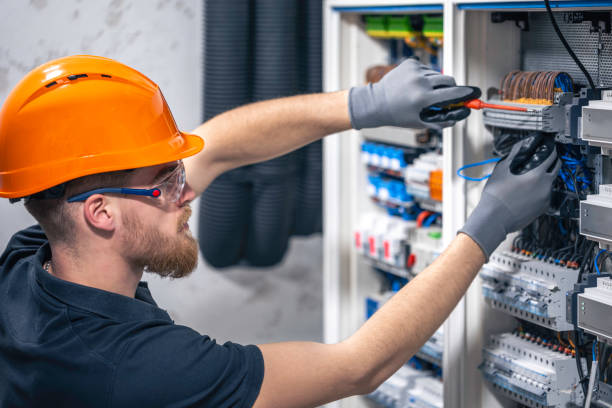 Best Electric Panel Repair  in Tomahawk, WI